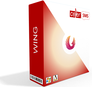 Wireless Intelligent Gateway (WING)