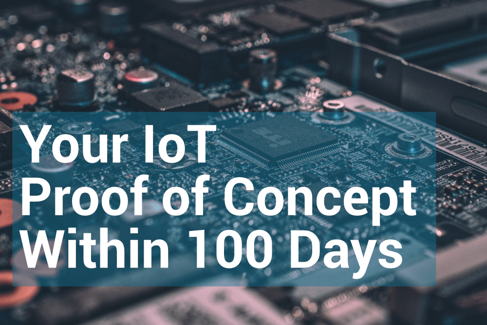 100 Days Prototyping Program