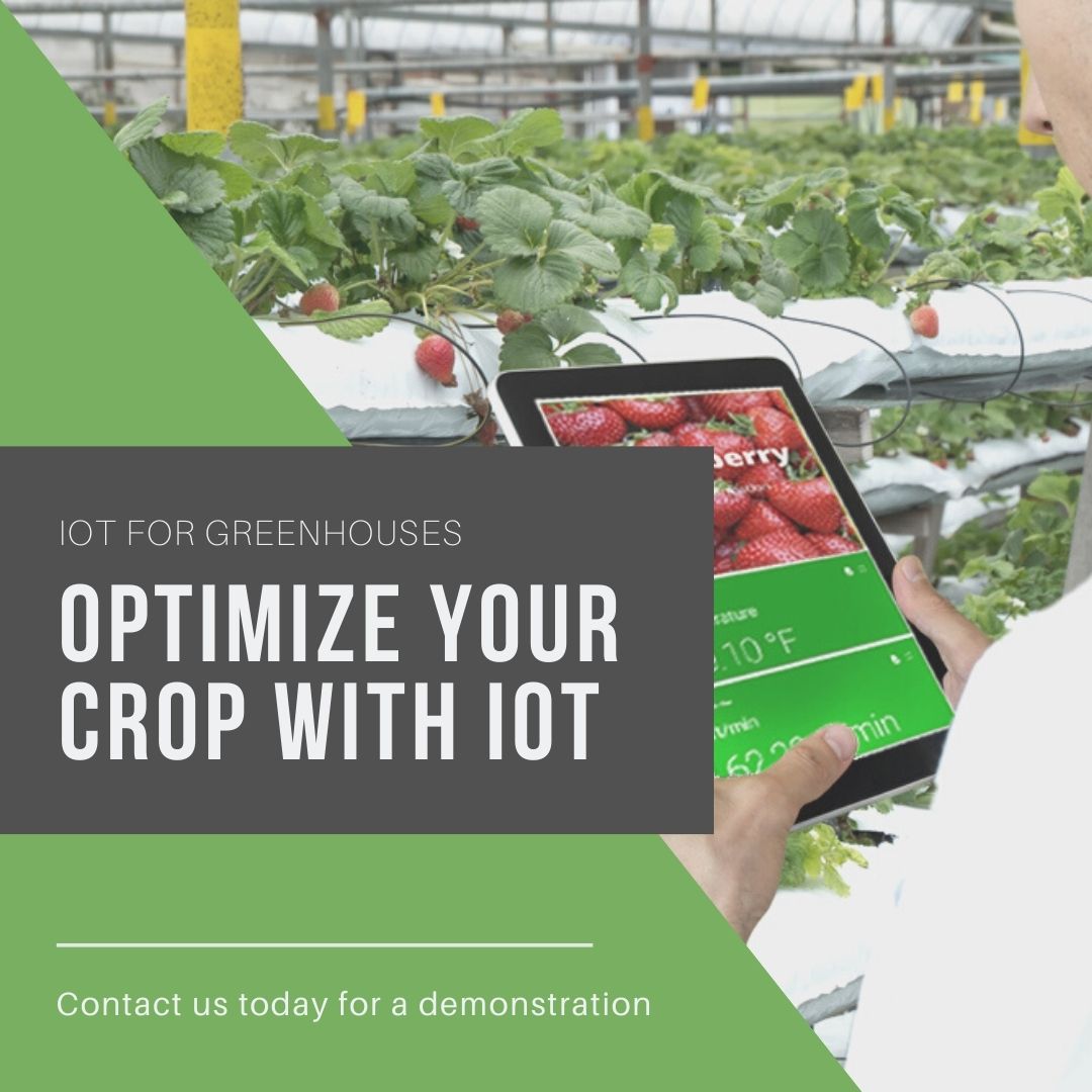 Greenhouse Automation & IoT